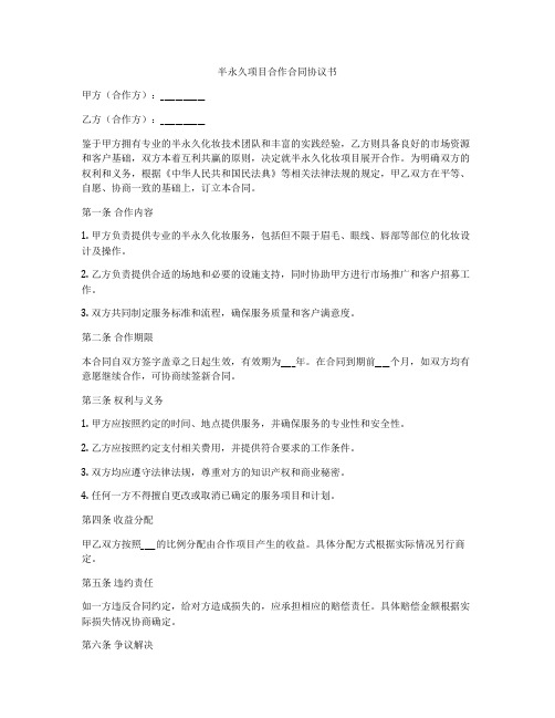 半永久项目合作合同协议书