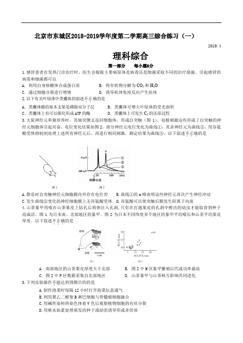 东城区2018-2019学年度一模