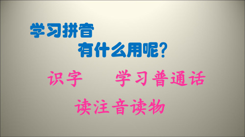 部编版一年级上语文课件-汉字拼音a.o.eppt上课用