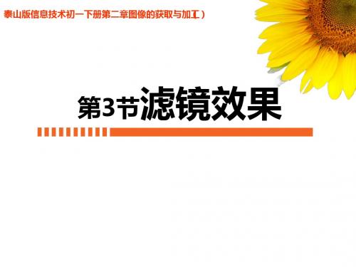 泰山版信息技术初一下册第二章图像的获取与加工第3节《滤镜效果》课件