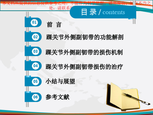 踝关节外侧副韧带损伤培训课件