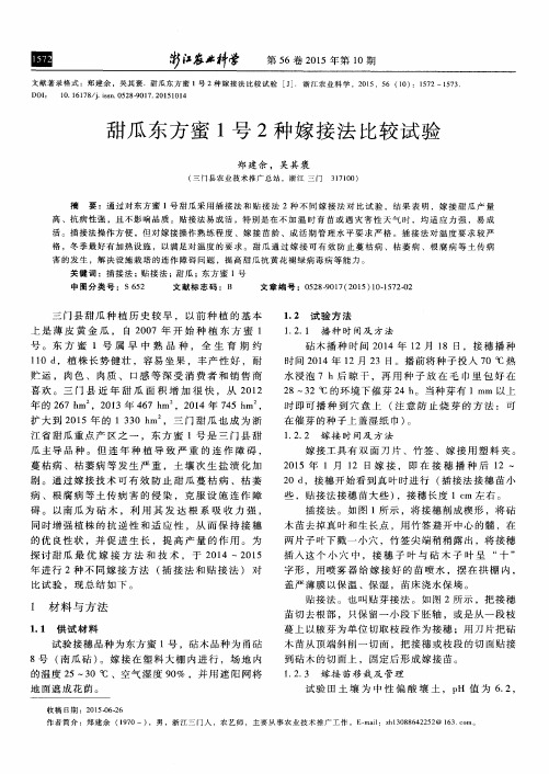 甜瓜东方蜜1号2种嫁接法比较试验
