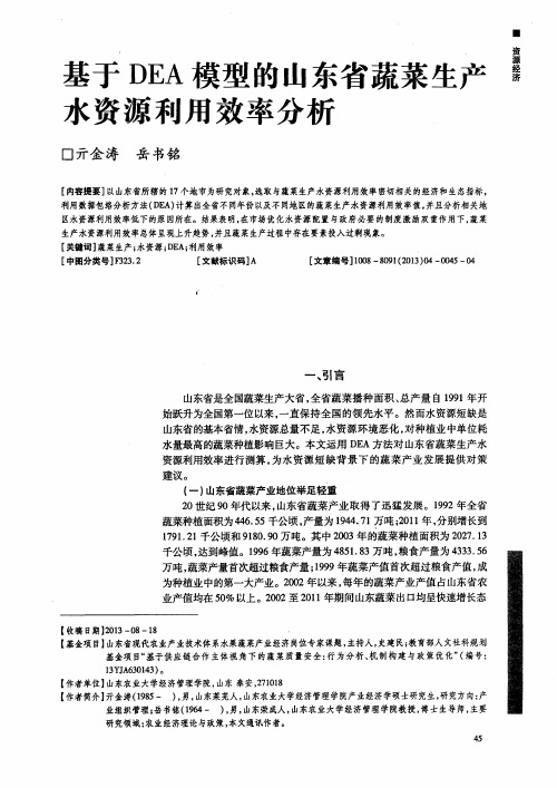 基于DEA模型的山东省蔬菜生产水资源利用效率分析