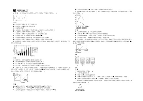 2022《全品高考》生物二轮复习专题限时集训4 光合作用和细胞呼吸 