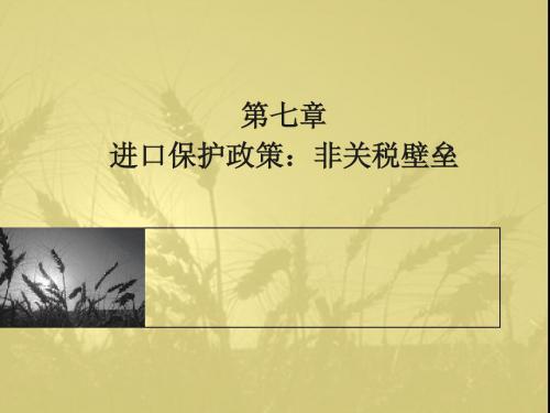 进口保护政策非关税壁垒.ppt