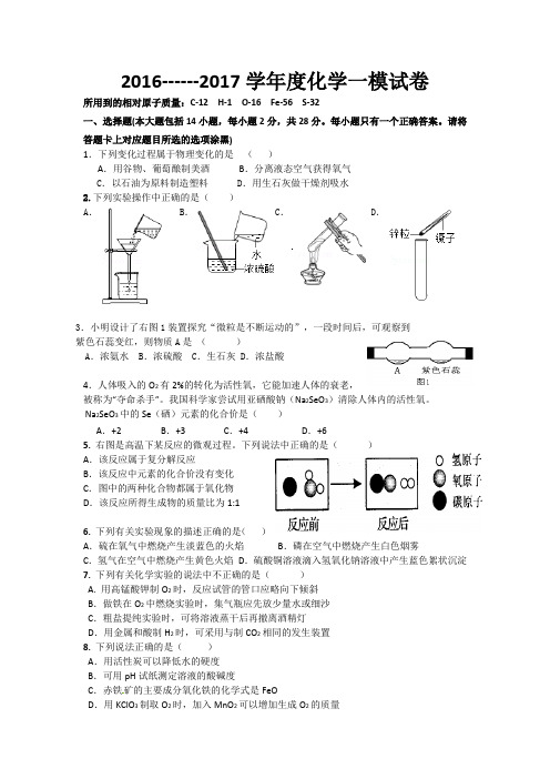 2017年肇庆市第一中学九年级化学一模试题