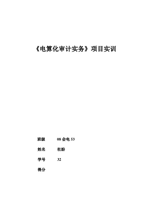 《电算化审计实务》实训资料 32