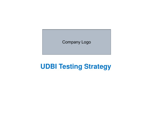 测试方法及测试战略英文版Test Strategy 