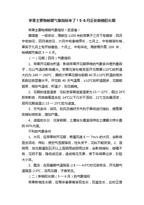 苹果主要物候期气象指标来了！5-6月正处新梢旺长期