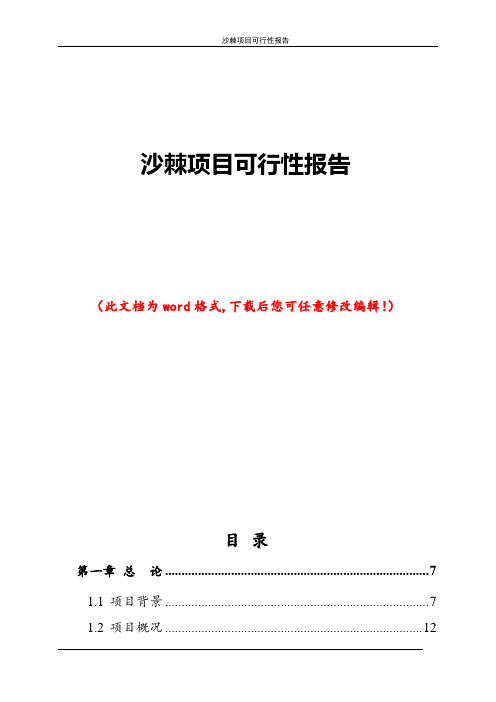 沙棘项目可行性报告