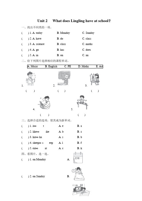 外研小学英语三年级下册Module 6Unit2 What does Lingling have at school课后作业