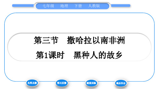 人教版七年级地理下第8章东半球其他的地区和国家第3节撒哈拉以南非洲第1课时黑种人的故乡习题课件