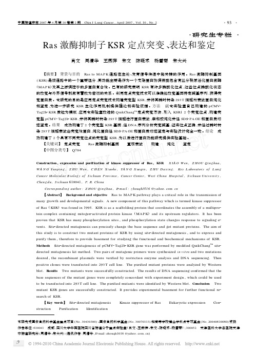 Ras激酶抑制子KSR定点突变_表达和鉴定