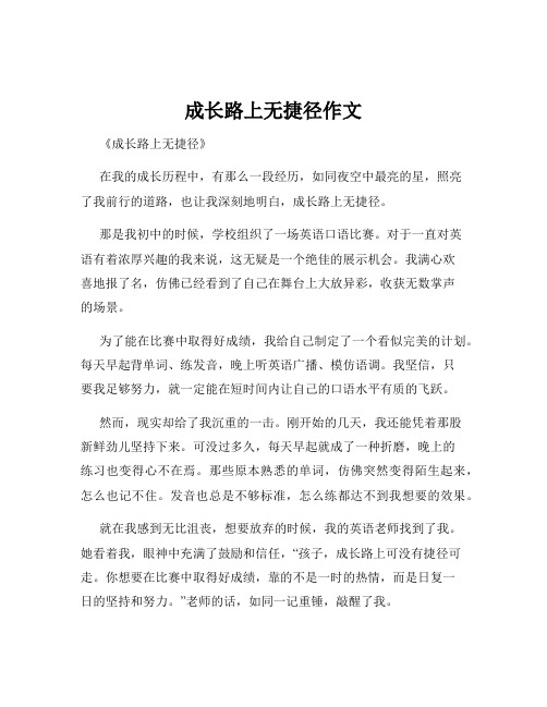 成长路上无捷径作文