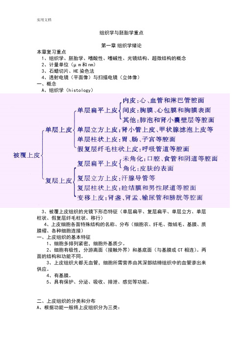 组织学与胚胎学重点