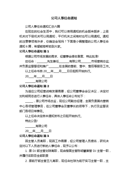 公司人事任命通知汇总六篇