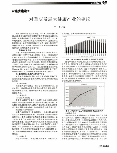 对重庆发展大健康产业的建议