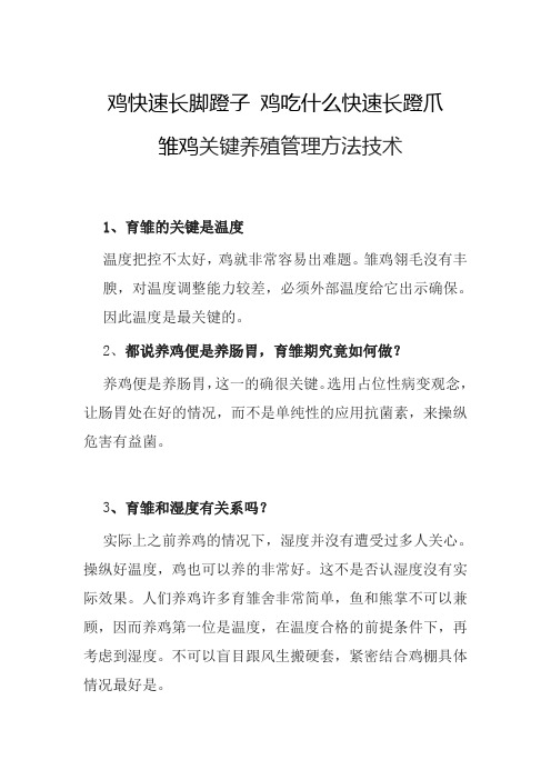 鸡快速长脚蹬子 鸡吃什么快速长蹬爪   雏鸡关键养殖管理方法技术