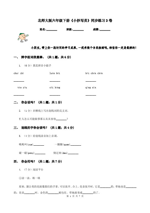 北师大版六年级下册《小抄写员》同步练习D卷