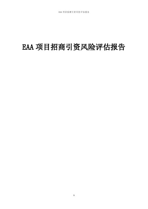 EAA项目招商引资风险评估报告