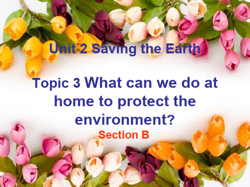 英语仁爱版九年级上册《Unit 2 Saving the Earth Topic 3 What》课件公开课 (2)