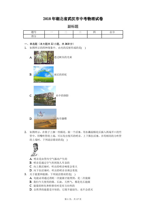 2018年湖北省武汉市中考物理试卷-普通用卷