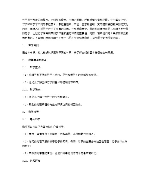 《竹》中班科学教案——认识竹子的种类