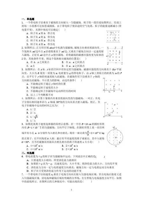 带电粒子在匀强磁场中的运动(训练题)