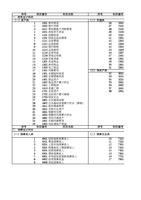 2019政府会计科目表