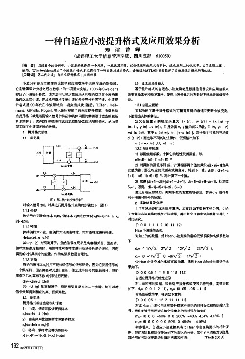 一种自适应小波提升格式及应用效果分析