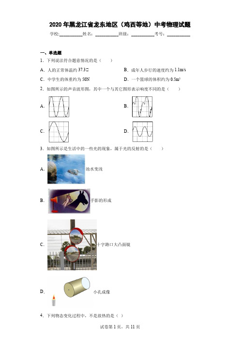 2020年黑龙江省龙东地区(鸡西等地)中考物理试题