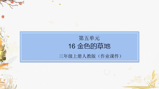 部编版小学语文三年级上册16 金色的草地(作业练习试题)