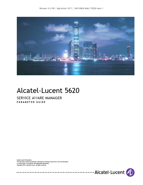 Alcatel-Lucent 5620 Service Aware Manager参数指南说明书