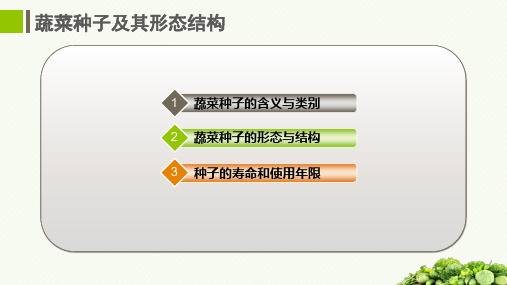 122.1.1蔬菜种子及其形态结构