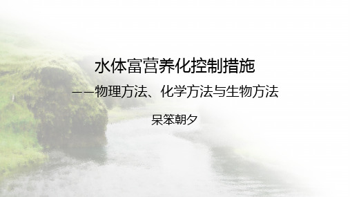 水体富营养化控制措施——物理方法、化学方法与生物方法