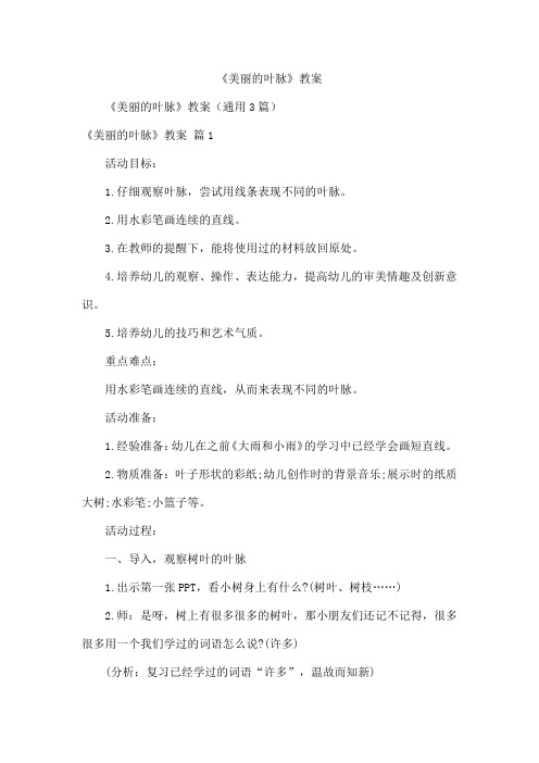 《美丽的叶脉》教案