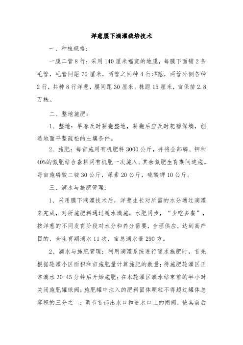洋葱膜下滴灌栽培技术