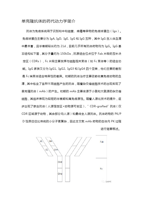 单克隆抗体的药代动力学简介