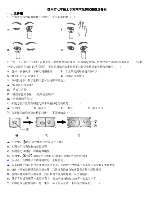 扬州市七年级上学期期末生物试题题及答案