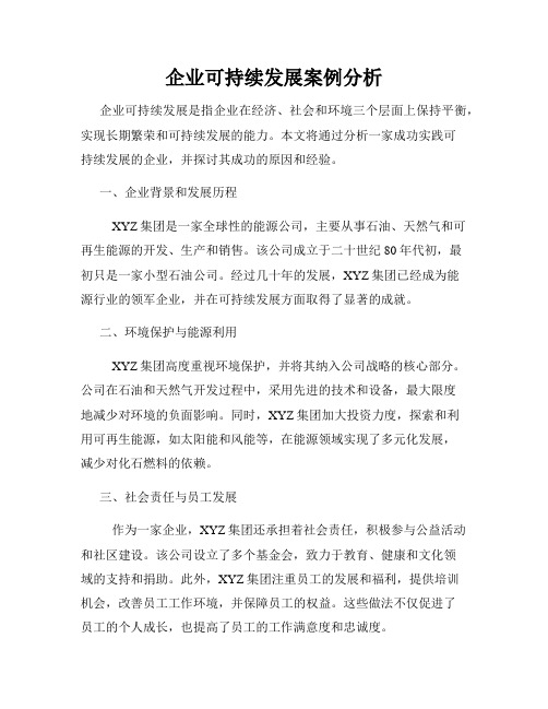 企业可持续发展案例分析