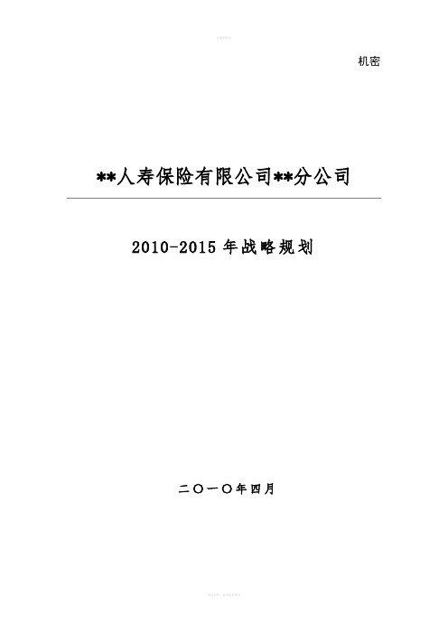 保险分公司发展战略规划