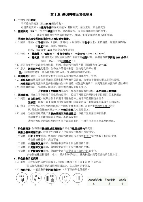 高中生物必修二第5、6章知识点总结-人教版(2019)必修2