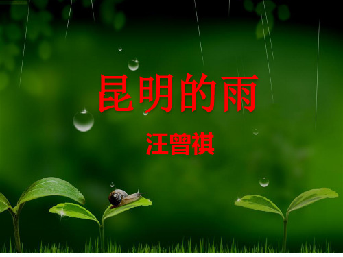 《昆明的雨》ppt课件