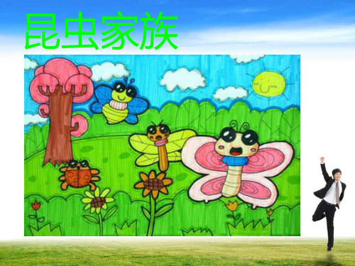 昆虫家族