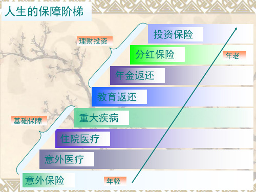 阶梯图四大账户