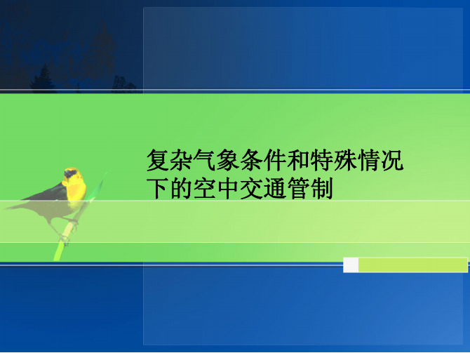 复杂气象条件和特殊情况下的空中交通管制