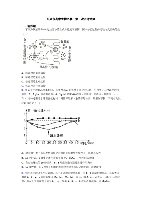 绍兴市高中生物必修一第三次月考试题