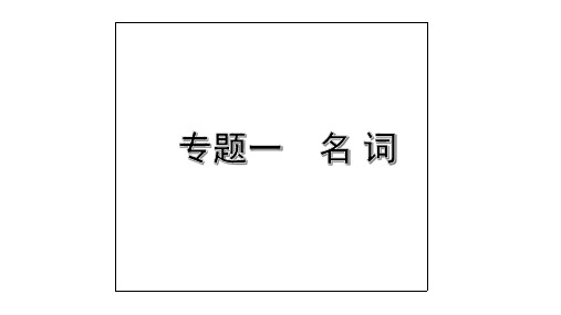 2020年浙江英语中考第二部分语法专题讲解1. 专题一  名词