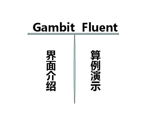 fluent课件