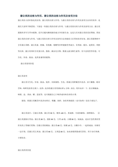 蒲公英的功效与作用